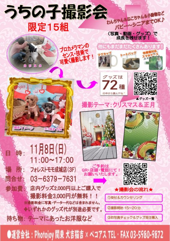 うちの子撮影会 １１月８日 日 東京都世田谷区フォレストモモではペットの事を考えたお家づくり提案